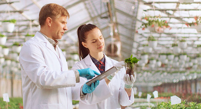 Soluciones en Agroalimentacion_small